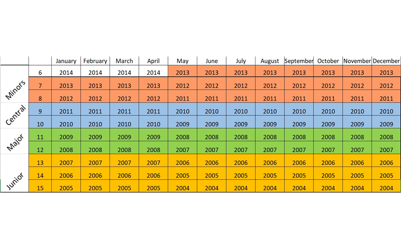 Youth Baseball Age Groups